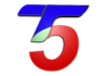 T5 Satelital en vivo, Online