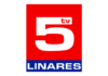 TV 5 Linares en vivo, Online