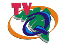 TVQ Centla en vivo, Online