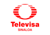 Televisa Sinaloa en vivo, Online
