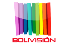 Bolivisión en vivo, Online
