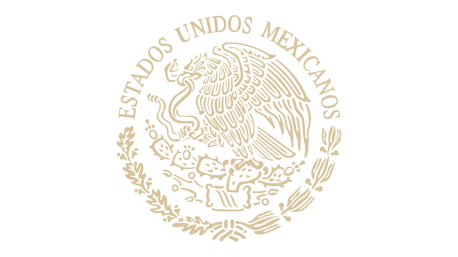 Gobierno de México en vivo, Online
