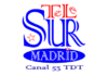 Telesur Madrid en directo, Online